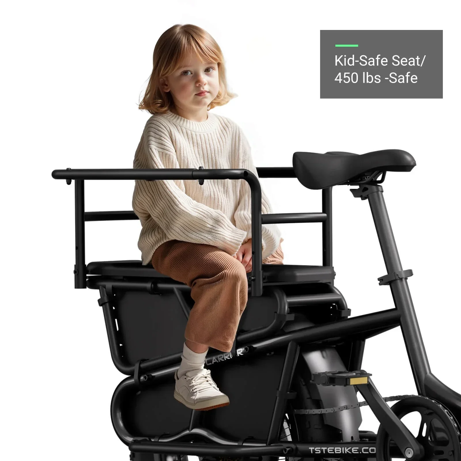 TST® Carrier 20'' Cargo Electric Bike - Image 7