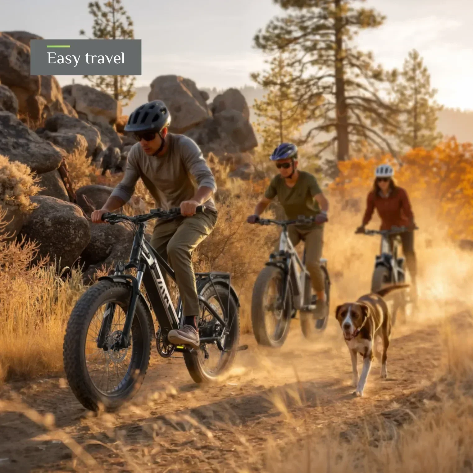 TST® Defender 26" Fat Tire Ebike For Adult - Image 3